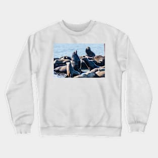 The Bachelor Crewneck Sweatshirt